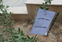 مشارکت مادران و فرزندان در مراسم درختکاری به مناسبت هفته ملی جمعیت